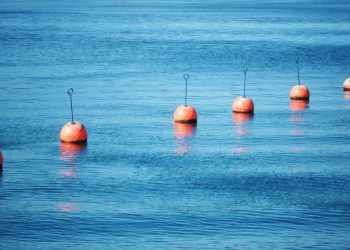 La inteligencia artificial basada en datos de Wittaya Aqua ayuda a los productores de mariscos a aumentar la producción acuícola