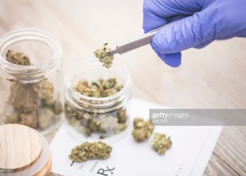 Bahamas avanza hacia una reforma del cannabis y la marihuana