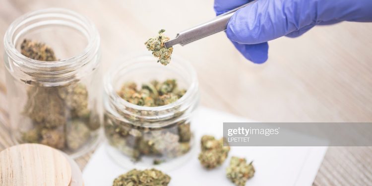 Bahamas avanza hacia una reforma del cannabis y la marihuana