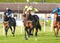 El estatus Elite está en camino de regresar a Newbury Group 3 Hackwood Stakes | Noticias de carreras