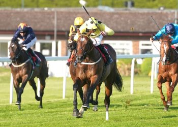 El estatus Elite está en camino de regresar a Newbury Group 3 Hackwood Stakes | Noticias de carreras