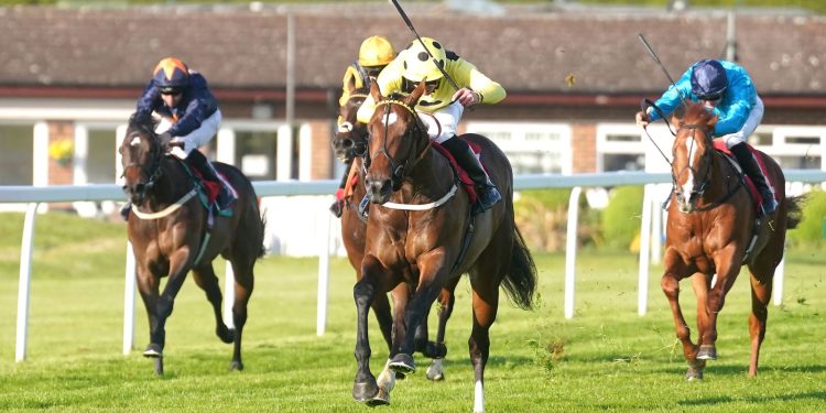 El estatus Elite está en camino de regresar a Newbury Group 3 Hackwood Stakes | Noticias de carreras