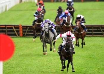 Hoy en Sky Sports Racing: Newton Abbot presenta una cartelera de siete carreras | Noticias de carreras