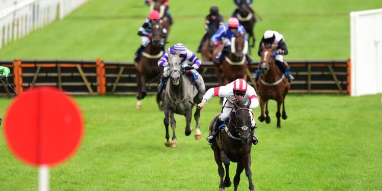 Hoy en Sky Sports Racing: Newton Abbot presenta una cartelera de siete carreras | Noticias de carreras