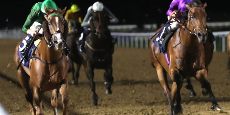 Racing League: Cinco caballos a seguir en la primera semana | Noticias de carreras