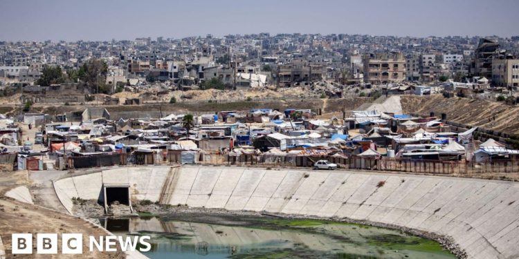 La OMS enviará 1,2 millones de vacunas contra la polio a Gaza tras alerta de brote