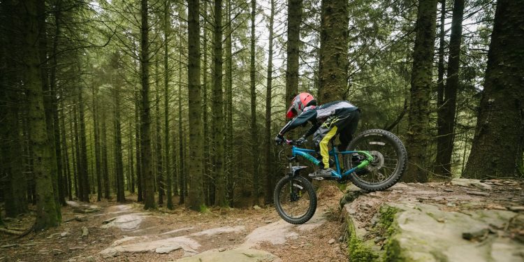 Los ciclistas de montaña están recuperando la naturaleza salvaje pagando al gobierno para que lo haga
