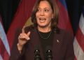 «No hay ventajas aquí»: un economista de Obama critica los controles de precios socialistas de Kamala | The Gateway Pundit