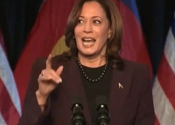 «No hay ventajas aquí»: un economista de Obama critica los controles de precios socialistas de Kamala | The Gateway Pundit