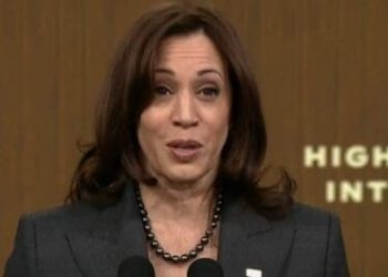 Kamala Harris está formando un ejército de voluntarios para derrotar a Trump
