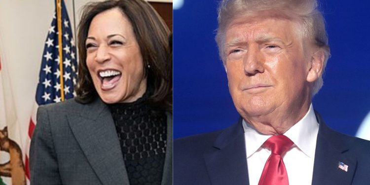 Estas elecciones son un referéndum sobre la libertad de expresión