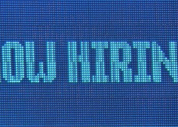 Estas empresas fintech están contratando, a pesar de un mercado difícil en 2024