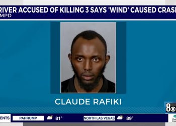 Un camionero inmigrante africano que mató a tres motociclistas mientras conducía imprudentemente su camión entre el tráfico recibe una sentencia leve | The Gateway Pundit