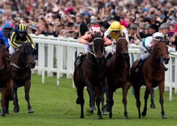 La leyenda australiana Black Caviar muere a los 18 años por una enfermedad en las pezuñas | Noticias de carreras