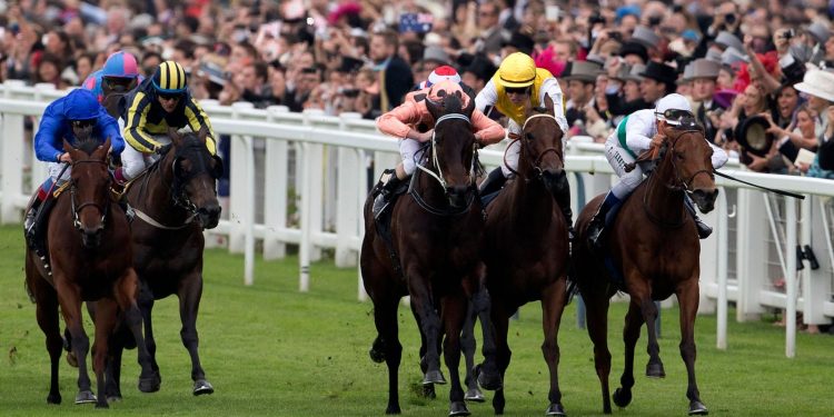 La leyenda australiana Black Caviar muere a los 18 años por una enfermedad en las pezuñas | Noticias de carreras