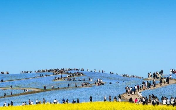 Los mayores mercados de viajes del mundo