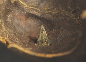 El «campo de batalla más antiguo de Europa» se volvió más extraño con nuevas evidencias de que hubo forasteros involucrados