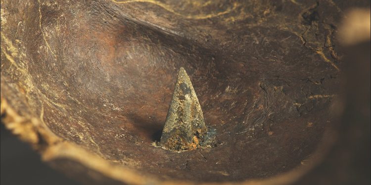 El «campo de batalla más antiguo de Europa» se volvió más extraño con nuevas evidencias de que hubo forasteros involucrados