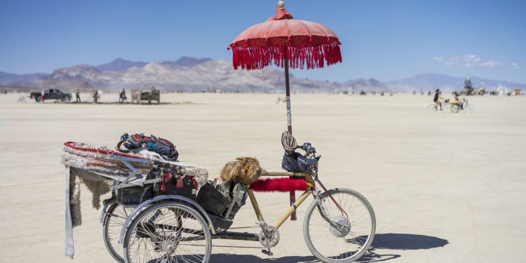 Brickbat: Licencia para conducir