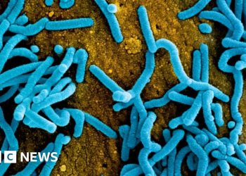 Ruanda restringe el tamaño de los funerales tras el brote