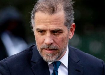 ÚLTIMA HORA: El juez acepta retrasar la sentencia de Hunter Biden por delitos graves relacionados con armas | The Gateway Pundit