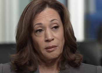 Una nueva encuesta indica que la entrevista de Kamala Harris en CNN no la ayudó en nada | The Gateway Pundit
