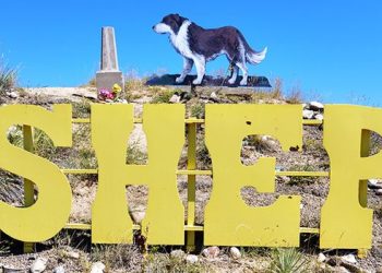 Ocho imágenes extrañas y conmovedoras de cementerios de mascotas