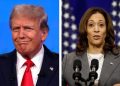 Una nueva encuesta revela que Donald Trump supera a Kamala Harris entre los votantes de la clase trabajadora por dos dígitos | The Gateway Pundit