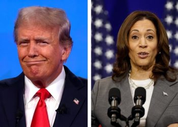 Una nueva encuesta revela que Donald Trump supera a Kamala Harris entre los votantes de la clase trabajadora por dos dígitos | The Gateway Pundit