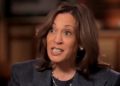 Kamala Harris fuertemente abucheada por desairar la cena de la Fundación Al Smith Memorial (VIDEO) | El experto en puerta de enlace