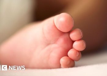 'Nuestro hijo murió. Ahora podremos usar su esperma para tener un nieto'