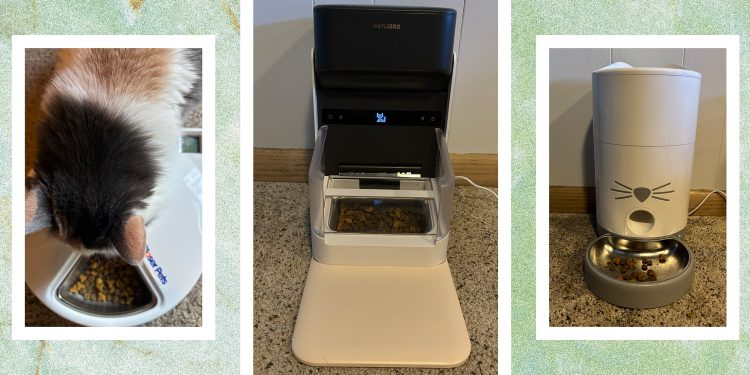 Estos 5 comederos automáticos para gatos fueron los mejores que probamos