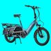 Las 8 mejores bicicletas de carga eléctricas para familias (2024)