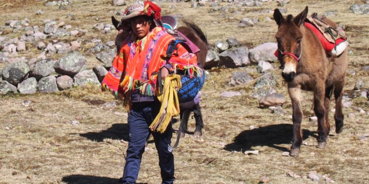 Guía para dar propinas en Perú