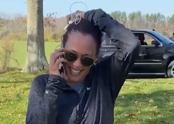 La oferta de Joe Biden de apoyar a Kamala Harris