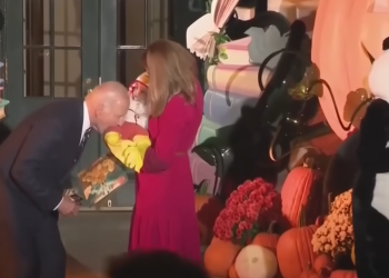 Biden ve a un bebé disfrazado de pollo para Halloween, así que, por supuesto, finge morderlo
