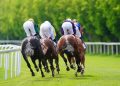 Hoy en Sky Sports Racing: Cuatro buenas oportunidades para el equipo Skelton en Newton Abbot | Noticias de carreras