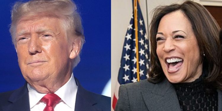 Los encuestadores también son personas – The Political Insider