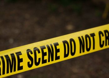 ¿Es menos probable que los extranjeros ilegales cometan delitos? Adivina otra vez