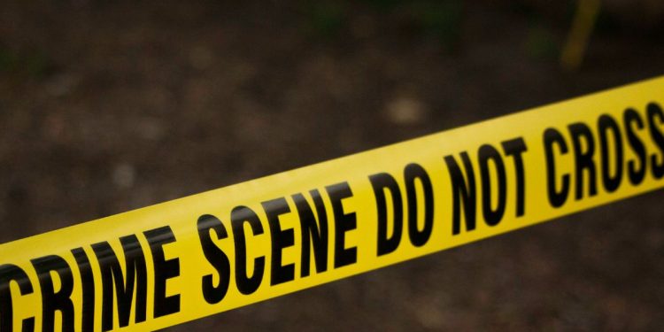 ¿Es menos probable que los extranjeros ilegales cometan delitos? Adivina otra vez