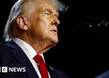 Los elegidos del gabinete de Trump luchan contra las acusaciones de mala conducta y la controversia