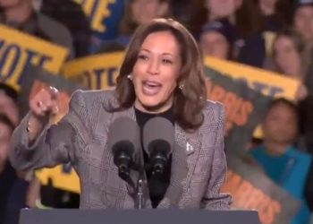 IMPRESIONANTE: La campaña de Kamala Harris recaudó mil millones de dólares pero cierra con una deuda de 20 millones de dólares | El experto en puerta de enlace