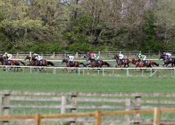 Hoy en Sky Sports Racing: Sedgefield y Newcastle albergan acción competitiva | Noticias de carreras