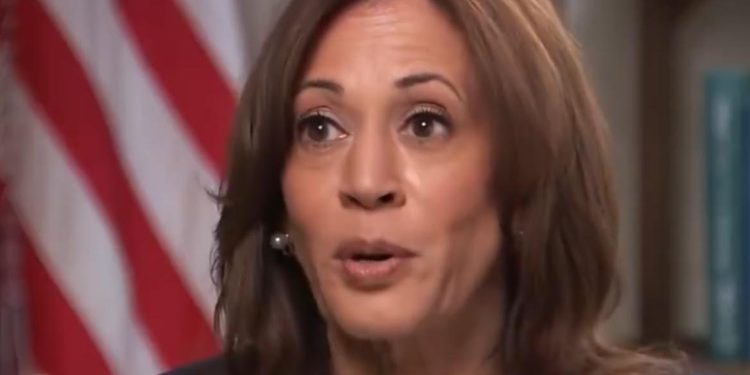 A los demócratas les preocupa que la continua recaudación de fondos de Kamala Harris les esté perjudicando entre los votantes | El experto en puerta de enlace