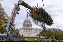 El año sin batalla por el cierre navideño