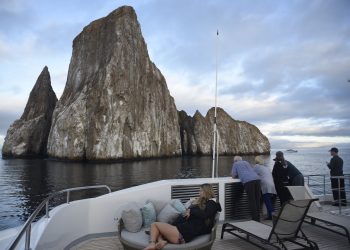 Los mejores cruceros a Galápagos para 2025: los mejores consejos