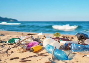 Un estudio en el Algarve muestra un problema creciente con los residuos turísticos