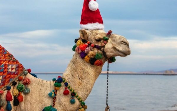 El turismo egipcio registró mayores ingresos