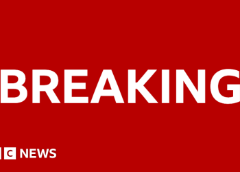 Se temen víctimas después de que un coche atropellara a una multitud en Nueva Orleans