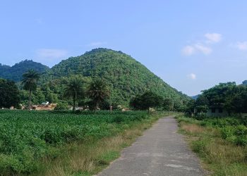 En el este de la India, los agricultores corren el riesgo de ser encarcelados por cultivar una lucrativa cosecha de cannabis | Drogas